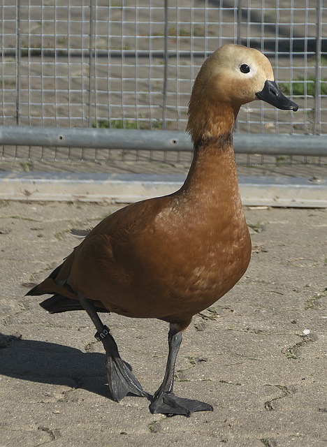门来说